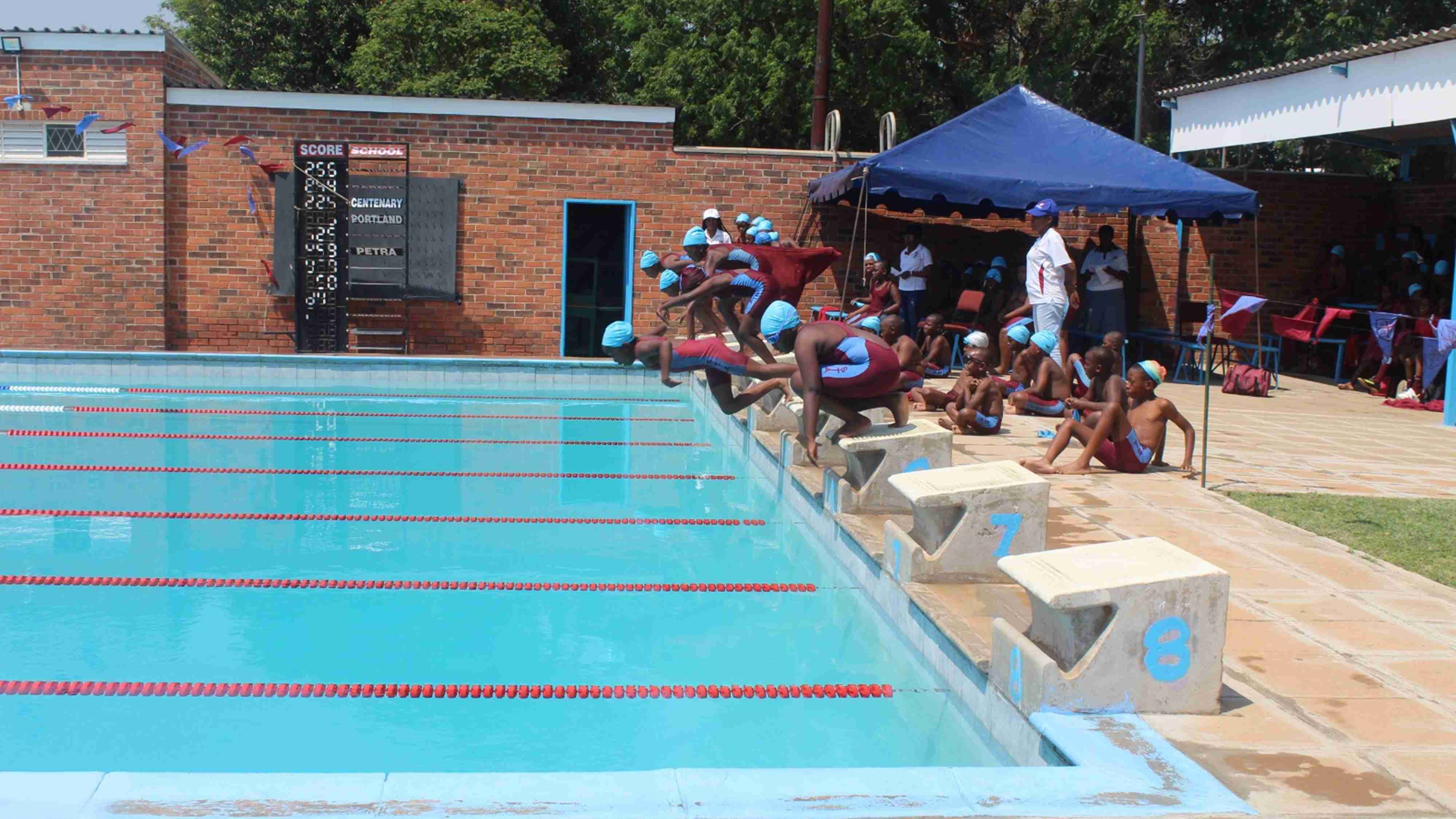 st thomas aquinas primary school