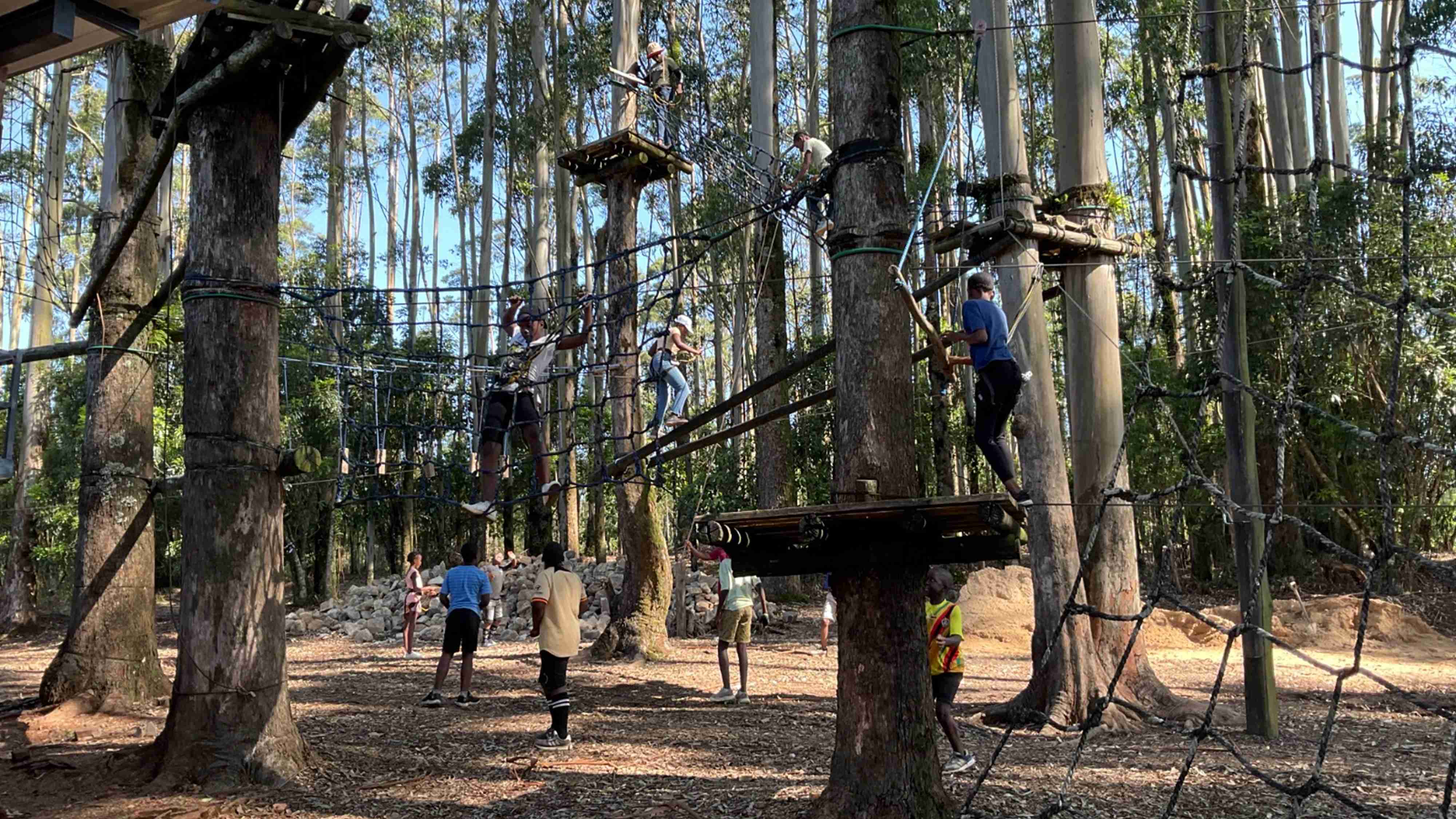 st thomas aquinas primary school