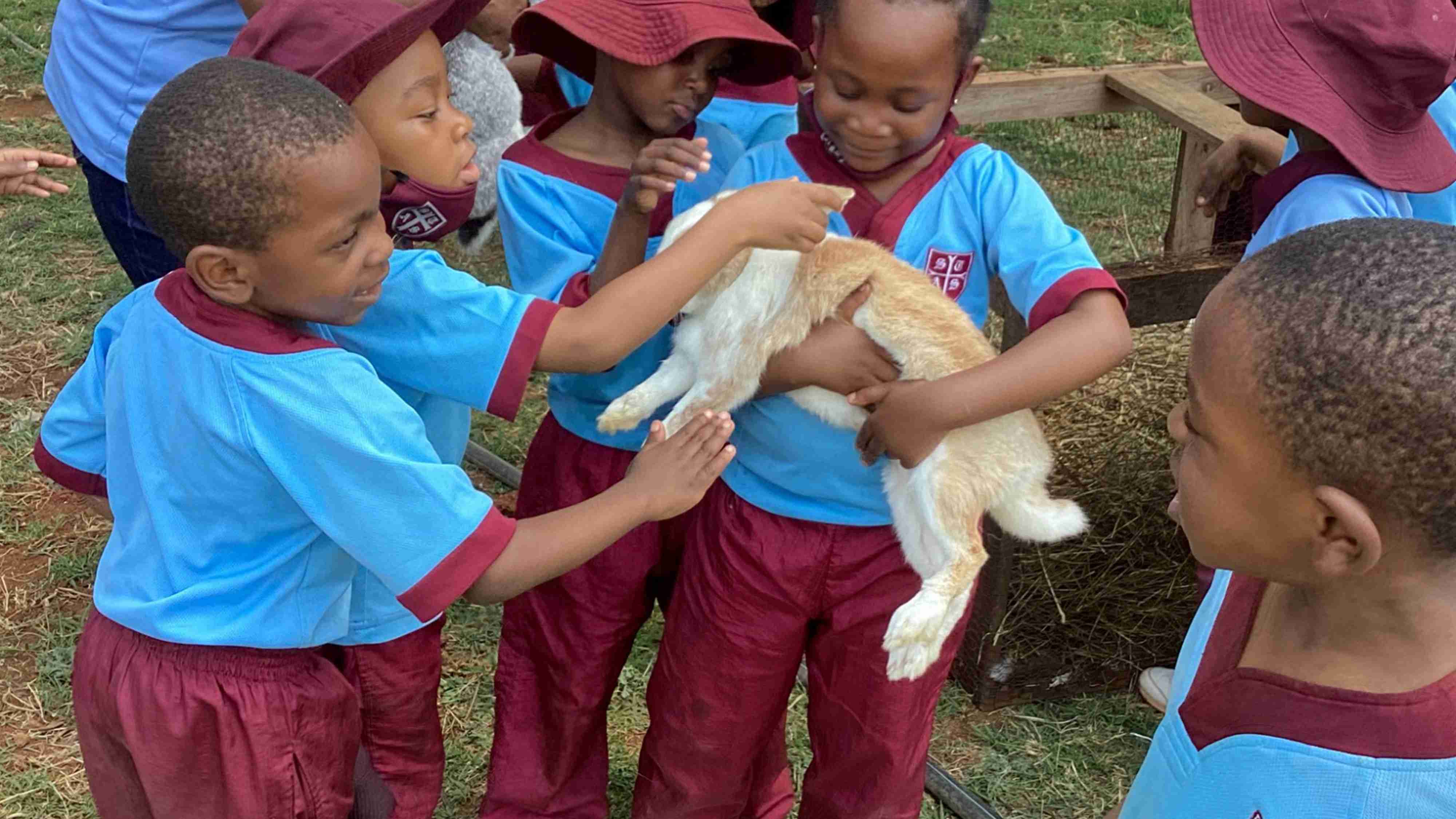 st thomas aquinas primary school