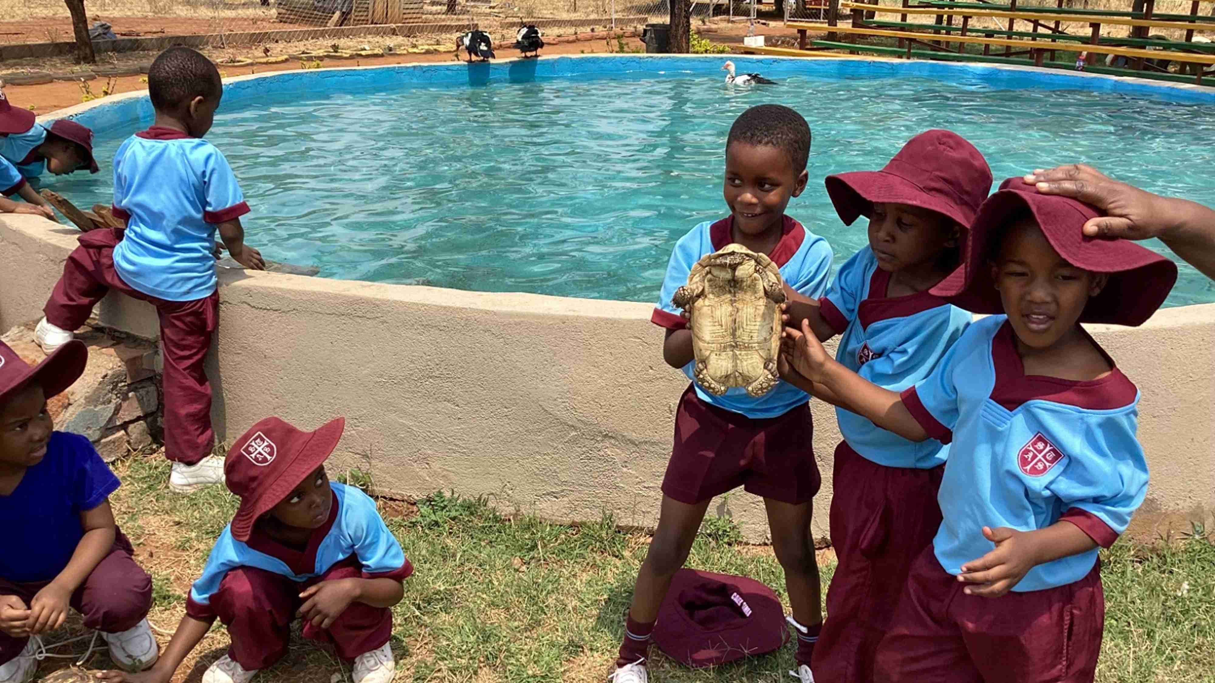 st thomas aquinas primary school