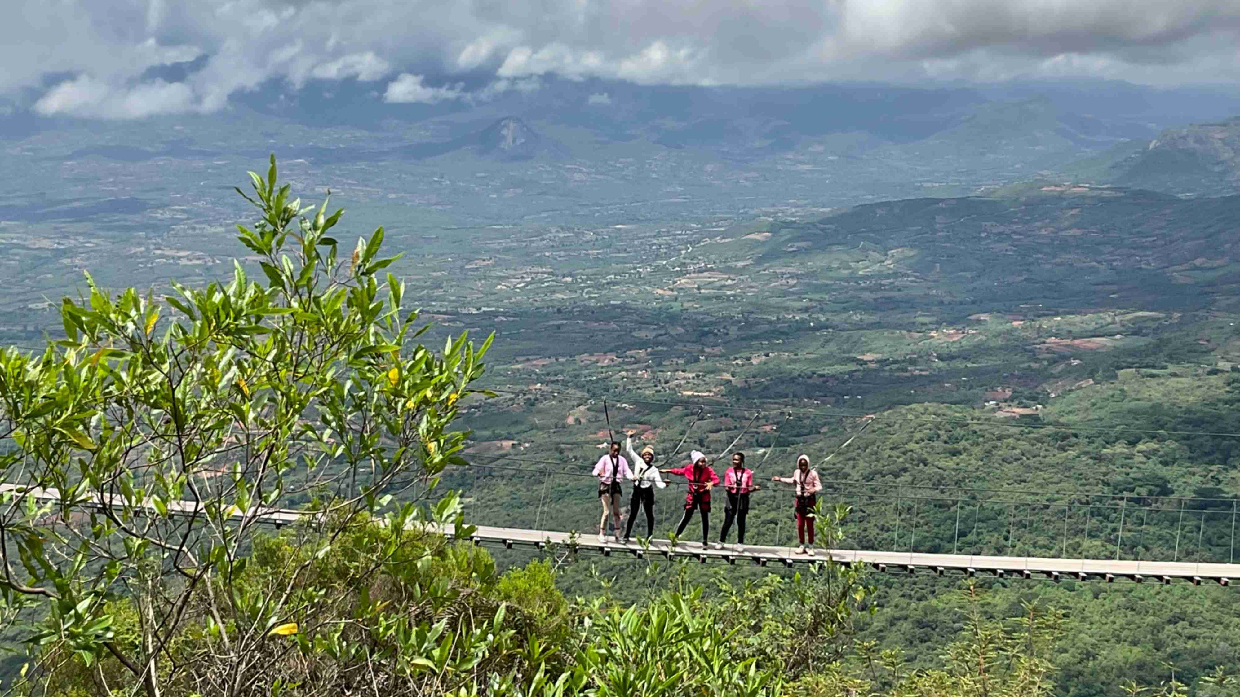 st thomas aquinas primary school