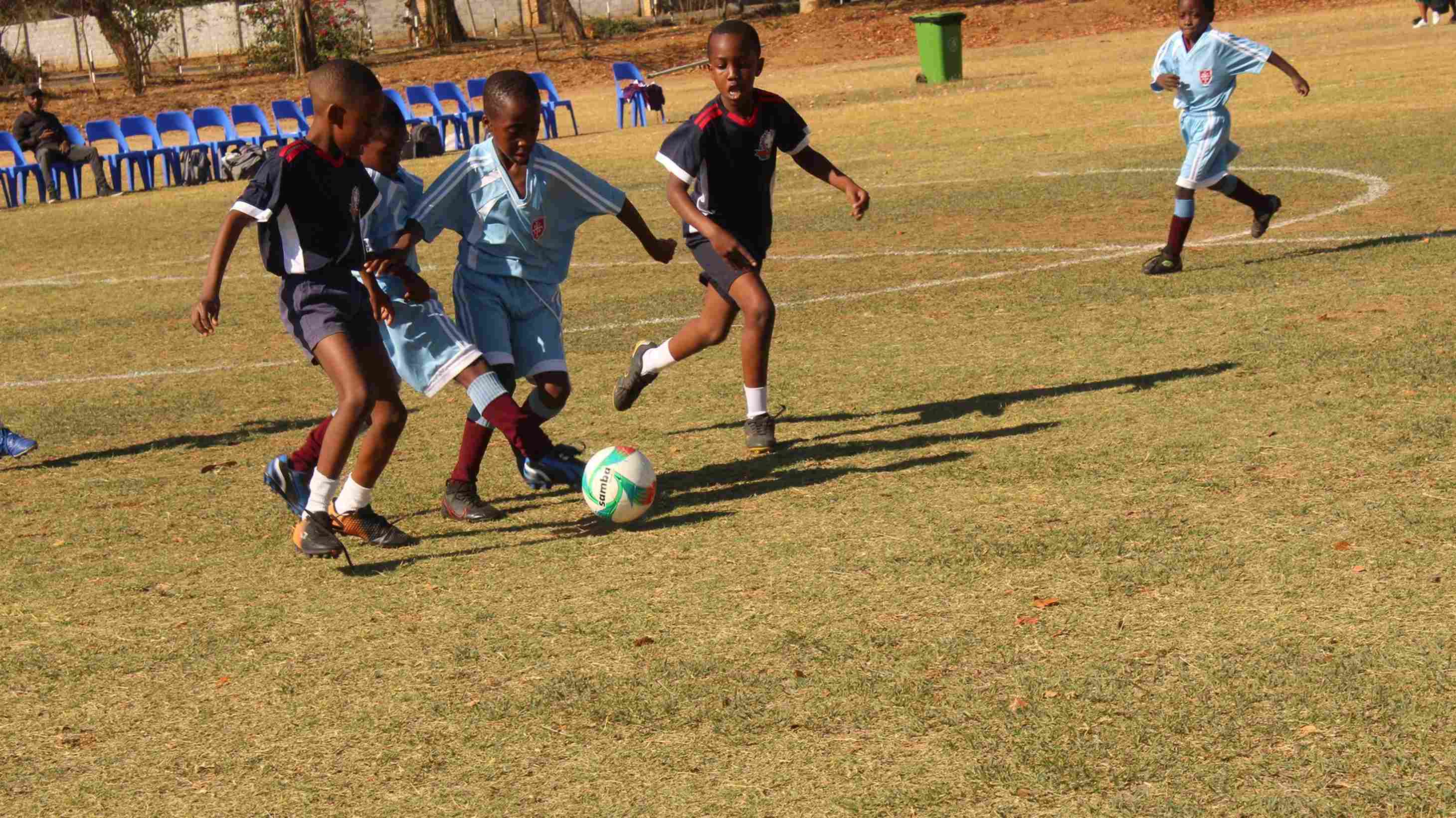 st thomas aquinas primary school